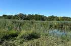 Teren cu deschidere la lac strada Orhideelor- conectare imediata la curent