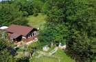Casă de vânzare in natura la tara - Mihaesti - 10