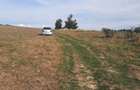 FARA COMISIOANE TEREN parcelabil 10756mp linga padure Comuna Dumbravita Brasov - 6