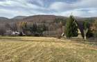 Teren de vanzare 1000 m2 Cheia - 1
