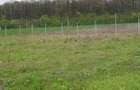 TEREN CONSTRUCTII-INTRAVILLAN-SUPERB-SNAGOV-PADURE-UTILITATI-PROIECT - 1