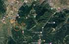 Teren cu priveliste de 2400mp in Rasnov - 2