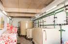 BUSINESS DE VANZARE Plantatie de afin din Romania - 13