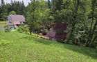 Vila din padure in Valea Doftanei - 43
