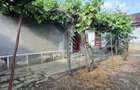 Casa  Micalaca, renovare sau demolare teren 360 mp - 3