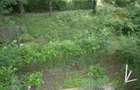 FLOREASCA - F. CHOPIN, apartament 2 camere mobilate, ideal rezidenta - 10