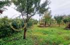 Casă singur în curte, 1.310 mp teren – Gusterița, garaj, pivniță, grădină - 20