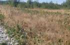 Vanzare parcele de teren 862mp / 1740mp pe Valea Avrigului, Județul Sibiu - 5
