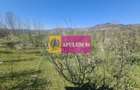 Vila de vanzare in Comarnic - 47