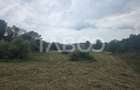 Teren de vanzare 8700 mp cu un front de 30m in Sura Mare - 6