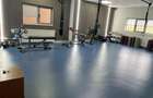 Spatiu comercial P+1, 440 mp, zona Brazda lui Novac - 1