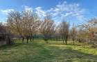 Casa 300 mp cu Teren 4000 mp, Comsesti, Tureni - 18