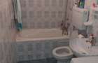 Zona Dorobanti Casa Foarte Buna si Mobilata ,caramida 62mp utili - 10