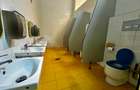 Spatiu comercial de inchiriat Pacurari