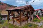 Cabana / Casa de vacanta pe Transfagarasan - Sibiu - 3
