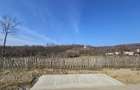 Teren 2500 mp în natură, Valea Bratia, priveliște spre munți - 4