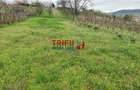 Teren de vanzare zona Micesti 1436mp - 4