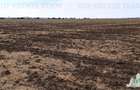Oferim spre vanzare 6 loturi de teren extravilan (agricol) in Petrachioaia ILFOV - 12