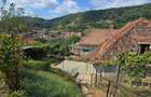 Casă de vânzare în exclusivitate, str. Română nr. 45, Sighisoara - 20