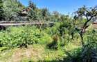 Casa unifamiliala 120 mp utili,  cu 477 mp teren, garaj, Dambul Rotund - 16