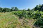 Casa 3 Camere + Teren si Anexe, Tirculesti- Danesti - 14
