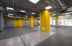 SPAȚIU COMERCIAL  | 231 MP | VAD COMERCIAL - 3