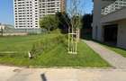 Apartamente cu 2 camere,centrala proprie,zona Promenada Lacului Morii,TVA inclus - 12