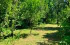 Casa  cu parau la limita proprietatii- zona submontana - 7