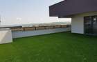 Penthouse in zona  deosebita - 15