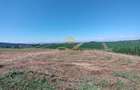 Casă de vânzare în Traian– 10 minute de BACAU - 11