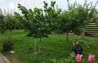 Casa P+1 ,u garaj , foișor și teren generos de 4800mp - 16