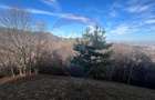 Teren Colinar Panoramic – 17.684 mp în Scheii Brașovului - 11