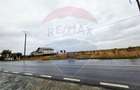 Teren extravilan de vanzare in Frumusani, acces direct DN4 - 4