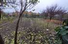 Casa in Ronat compartimentata in 2 apartamente cu intrari separate - 13
