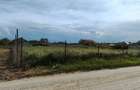 Teren de vânzare 1500 m.p. comuna 1 Decembrie, județul Ilfov - 2