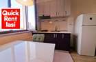 Palas Mall Lazar Residence Apartament 2Camere De Inchiriat Modern - 3