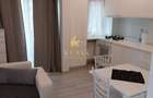 apartament  de inchiriat cu 2 camere  in zona Herastrau - 12