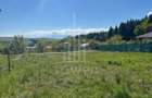 TEREN 600 MP | VEDERE PANORAMICĂ | LA MARGINEA PĂDURII | Tocile, SIBIU - 3