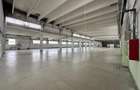 Hala/ spatiu comercial Pascani, 1500mp - 12