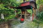 Tur LIVE!Casa cu arhitectura traditionala, curte spatioasa,foisor,Rucar. Bran - 11