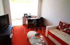 Apartament 3 camere în zona Nicolae Titulescu - 3