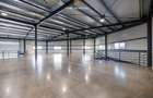 Spațiu comercial de închiriat – Dumbrăvița, acces direct din DNCT - 11