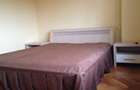 apartament duplex zona centrala+boxa +garaj - 14