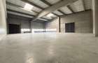 Hale industriale de vanzare – Oradea, adiacent Parcului Industrial I - 12