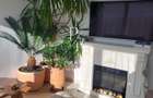 Apartament 2 camere, 60mp, 2 balcoane, parcare, zona Florilor-JYSK! - 2