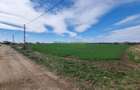 VÂNZARE TEREN 22.000 MP PUZ APROBAT - BALOTEȘTI - 10