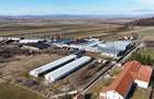 Teren intravilan 1.729 mp + hală parțial demolată | Teliu I Comision 0 - 4