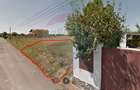 Vanzare teren Snagov - Izvorani, Strada Gradinarilor - 4