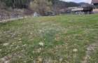 Teren 1,520mp Hangu / Strada Principala - 9