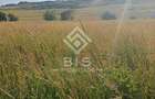 Teren 53 ari în Galații Bistriței -10.000 euro (188/ar) - 1